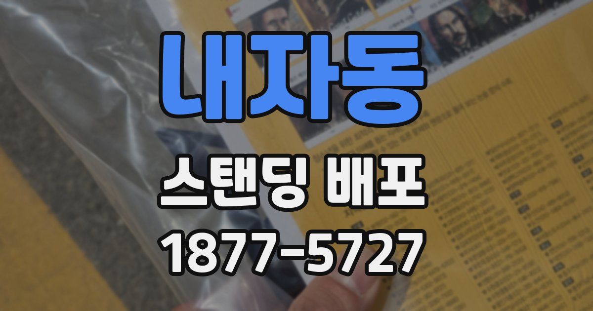 내자동 스탠딩 배포