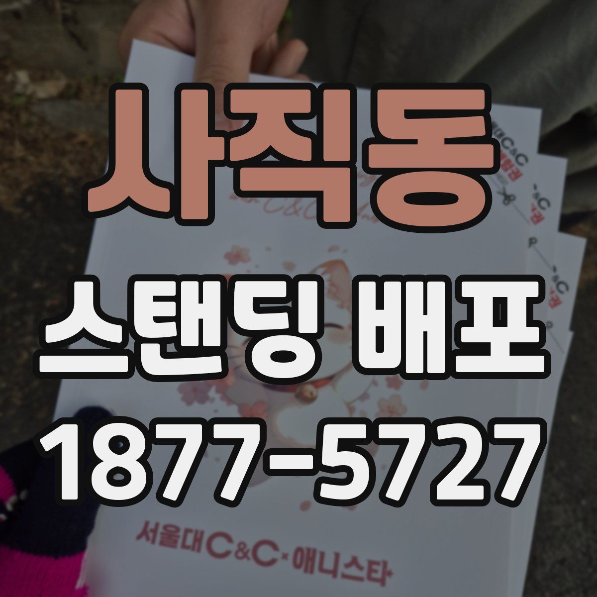 사직동 스탠딩 배포