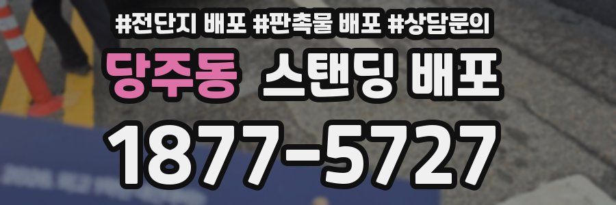 당주동 스탠딩 배포