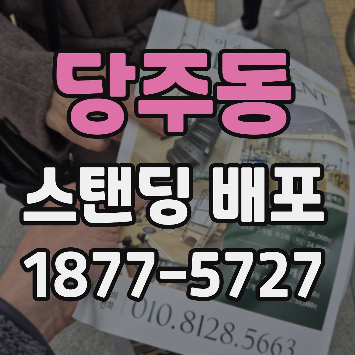 당주동 스탠딩 배포