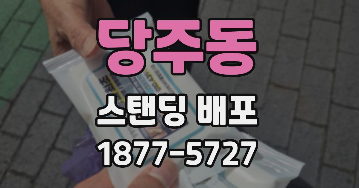 당주동 스탠딩 배포