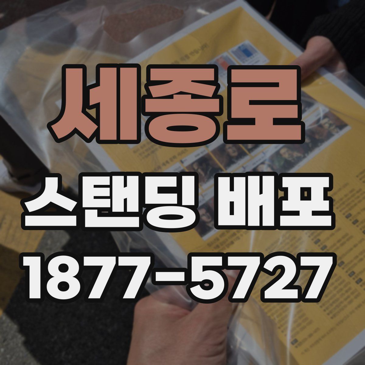 세종로 스탠딩 배포