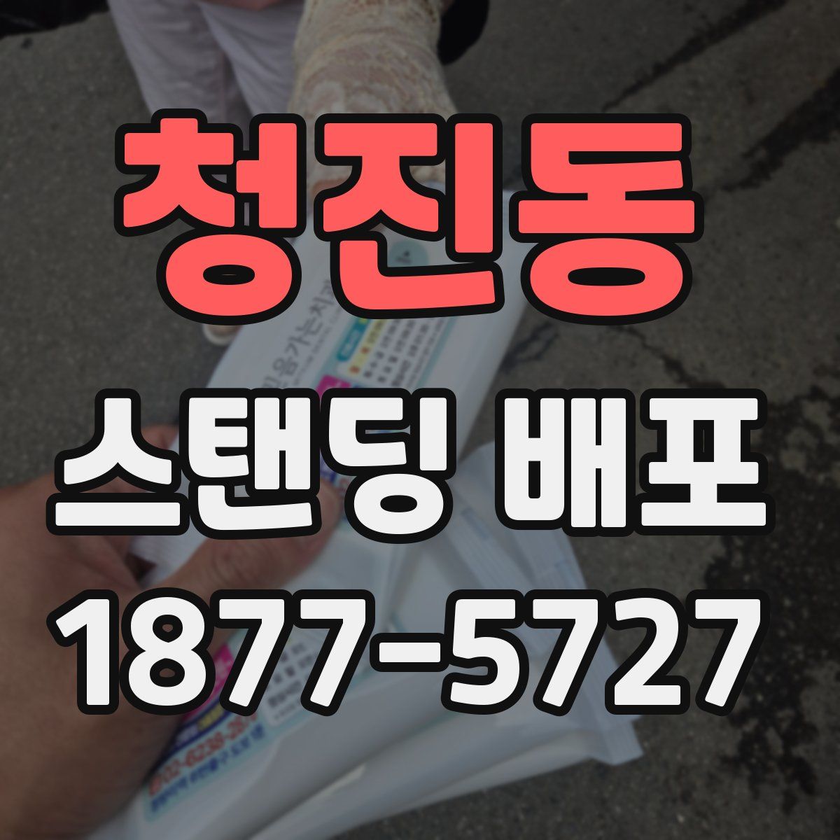 청진동 스탠딩 배포