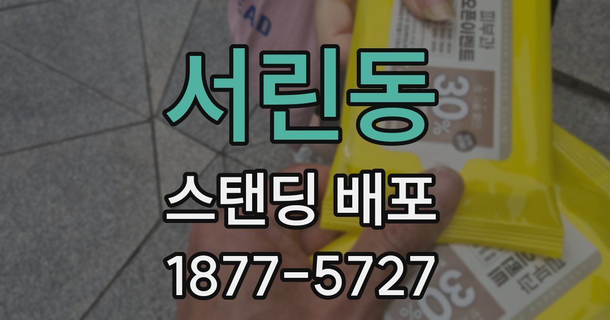 서린동 스탠딩 배포