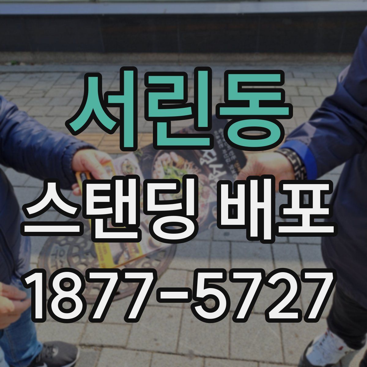 서린동 스탠딩 배포