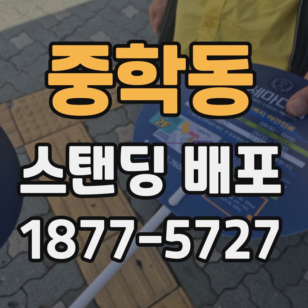 중학동 스탠딩 배포
