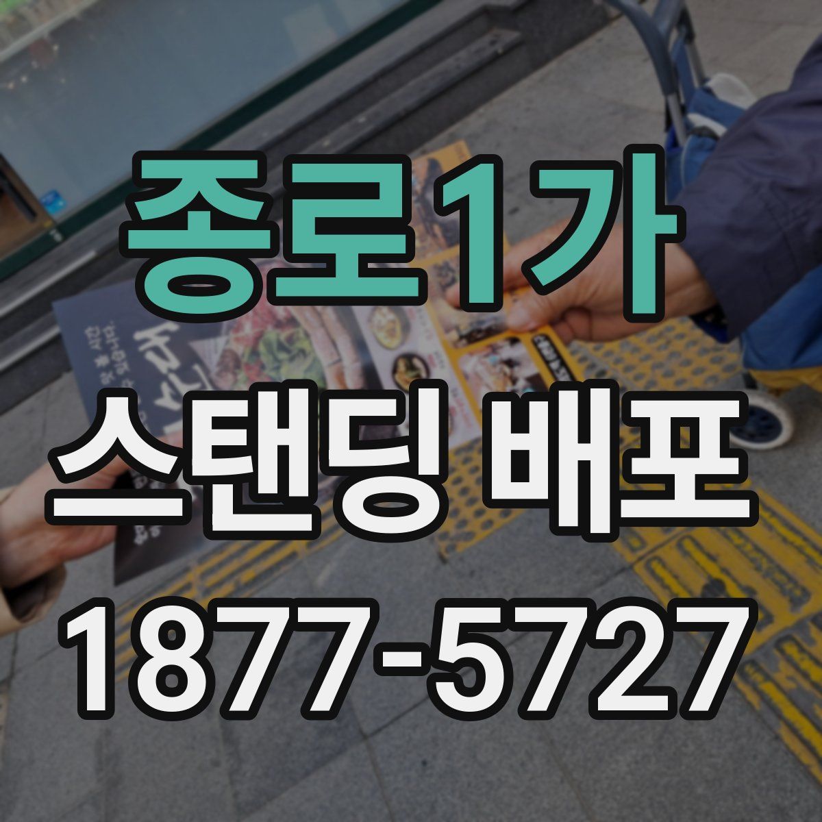 종로1가 스탠딩 배포