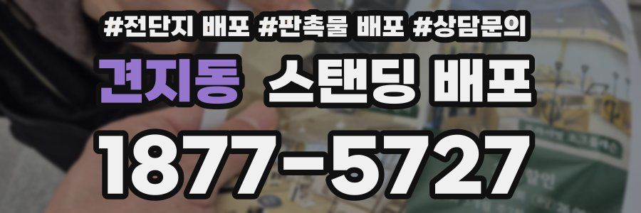 견지동 스탠딩 배포