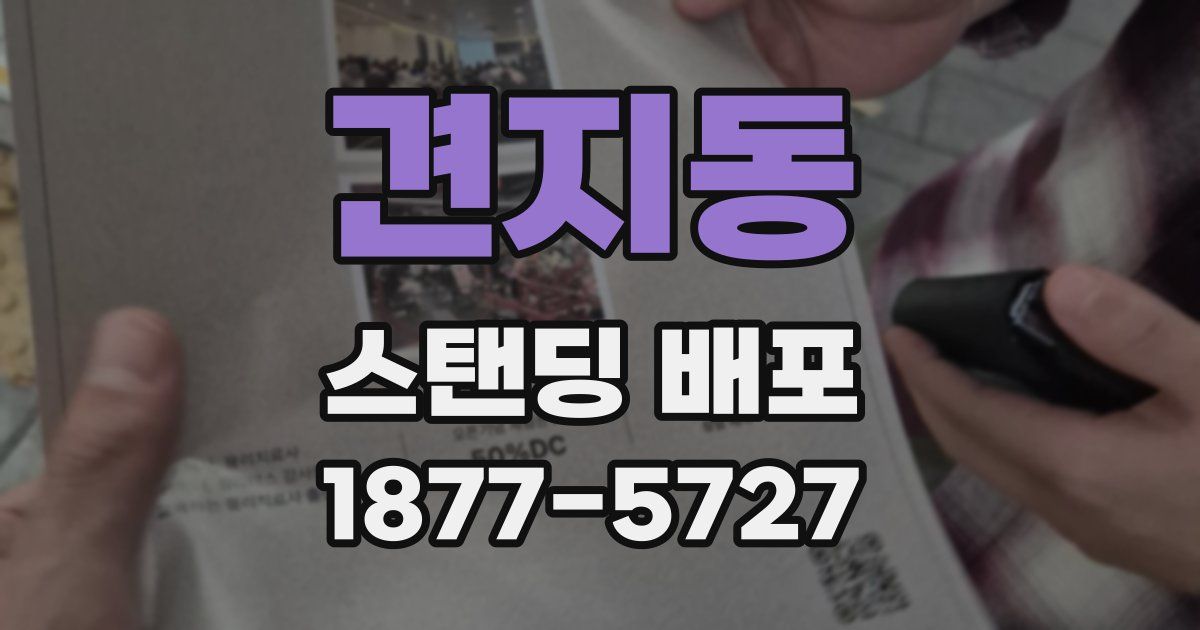 견지동 스탠딩 배포