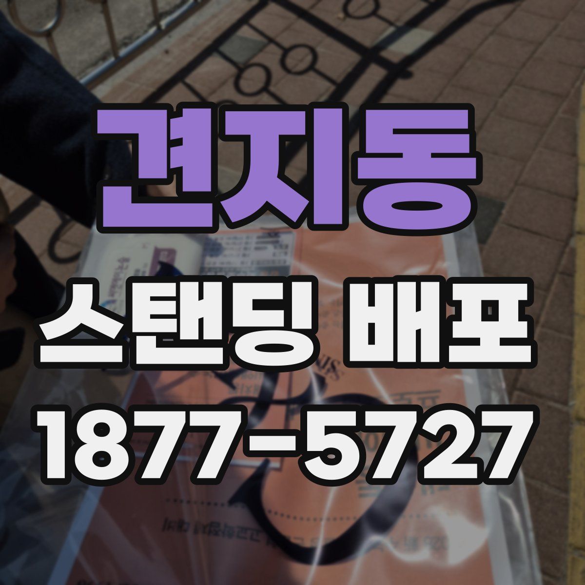 견지동 스탠딩 배포