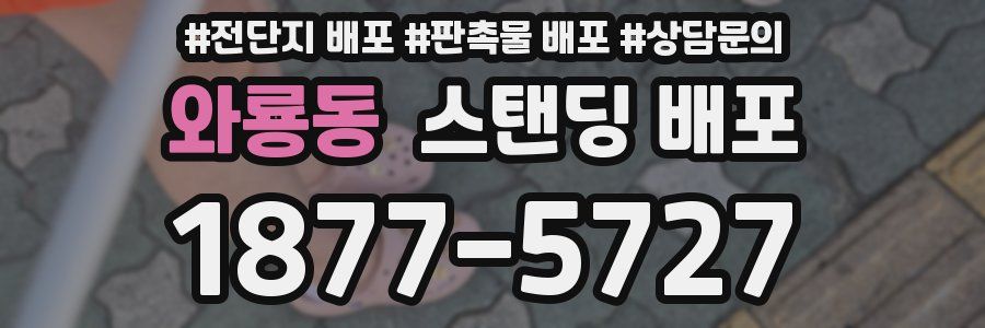 와룡동 스탠딩 배포