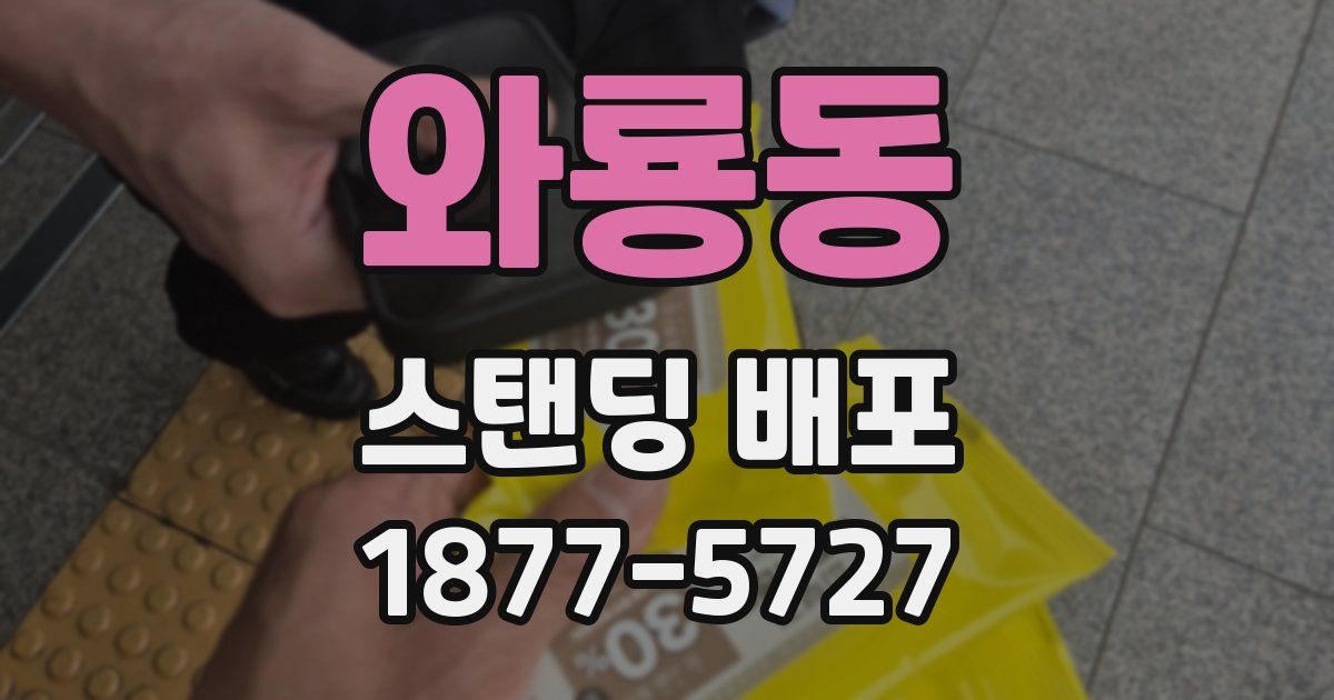 와룡동 스탠딩 배포