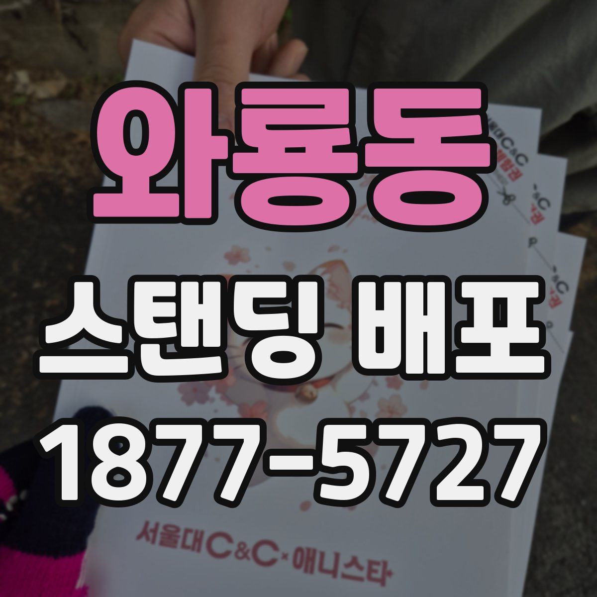 와룡동 스탠딩 배포