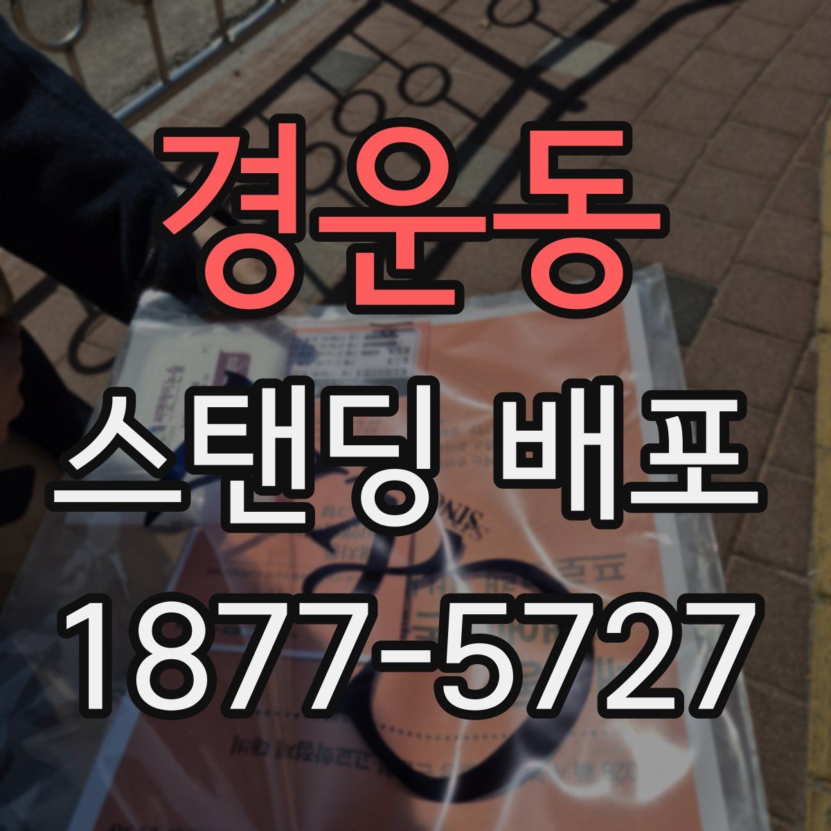 경운동 스탠딩 배포
