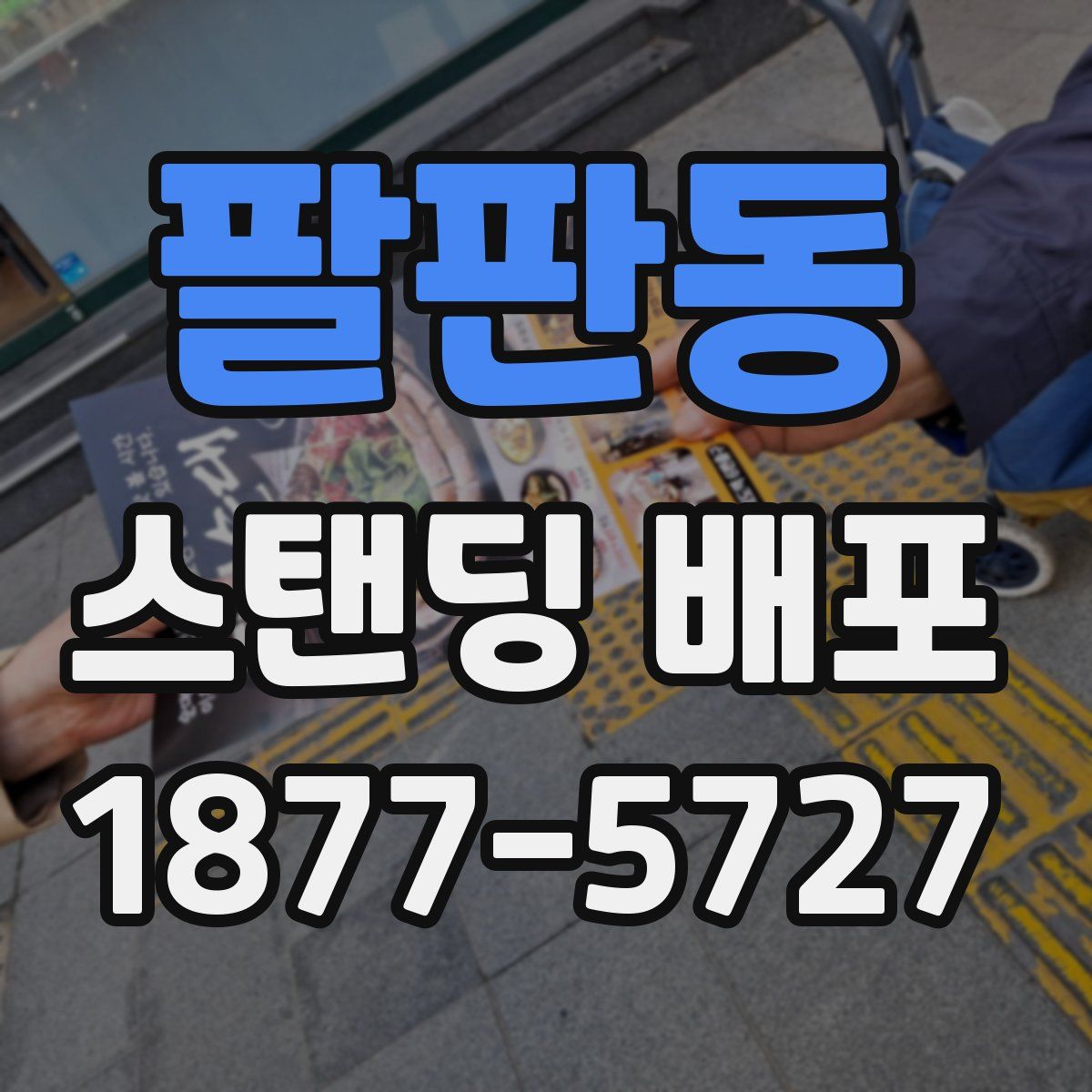 팔판동 스탠딩 배포