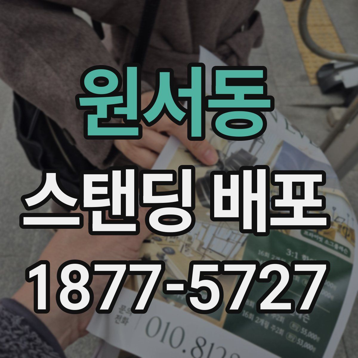 원서동 스탠딩 배포
