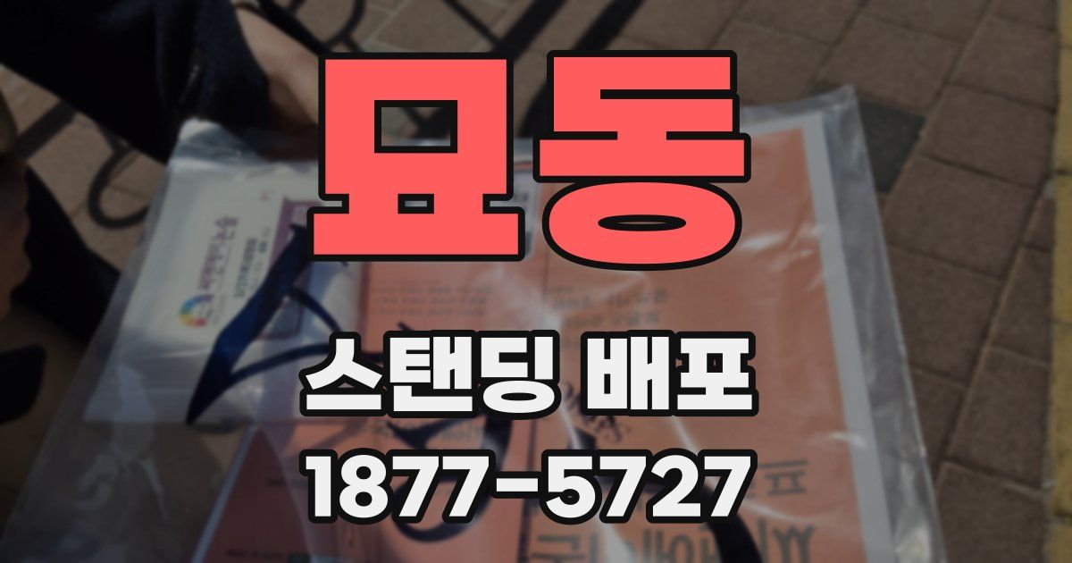 묘동 스탠딩 배포