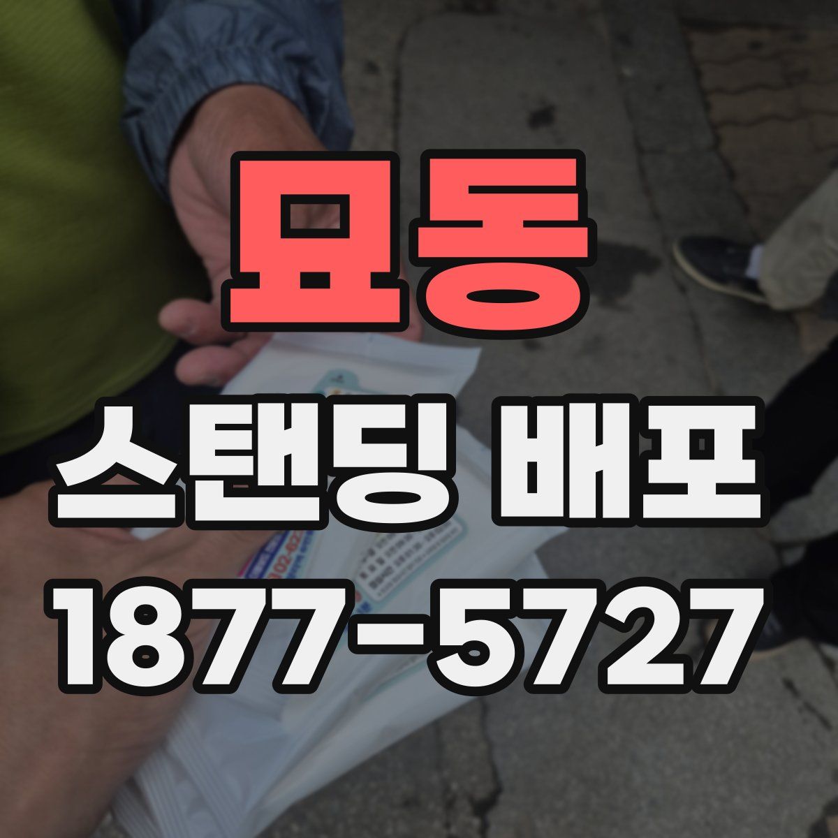 묘동 스탠딩 배포