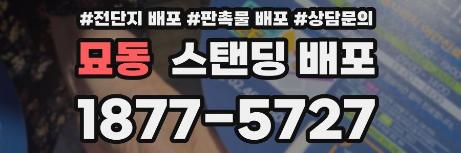 묘동 스탠딩 배포