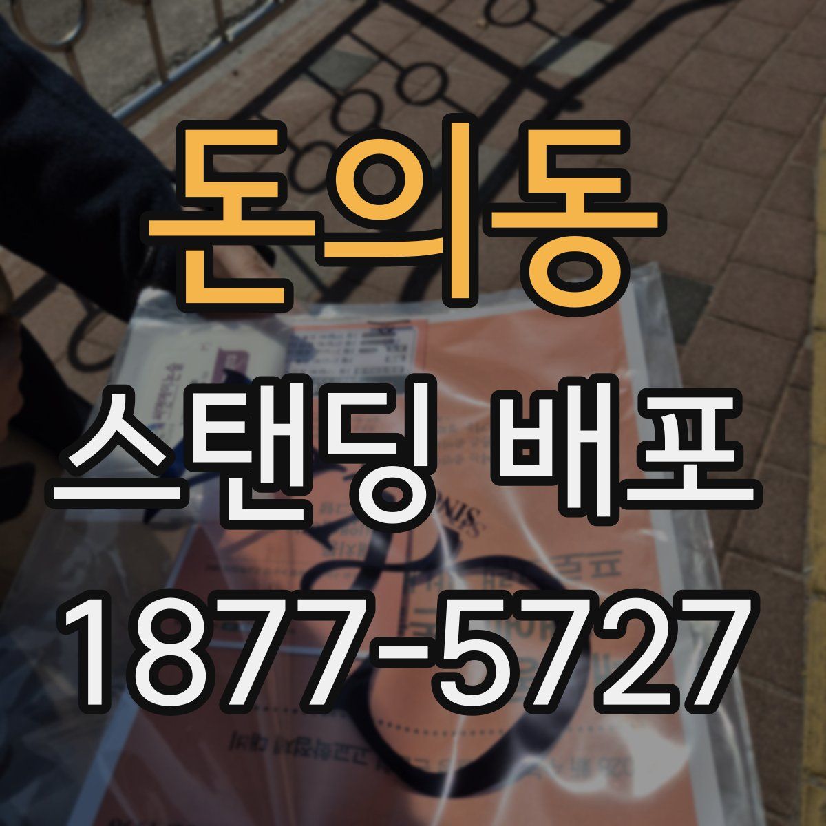 돈의동 스탠딩 배포