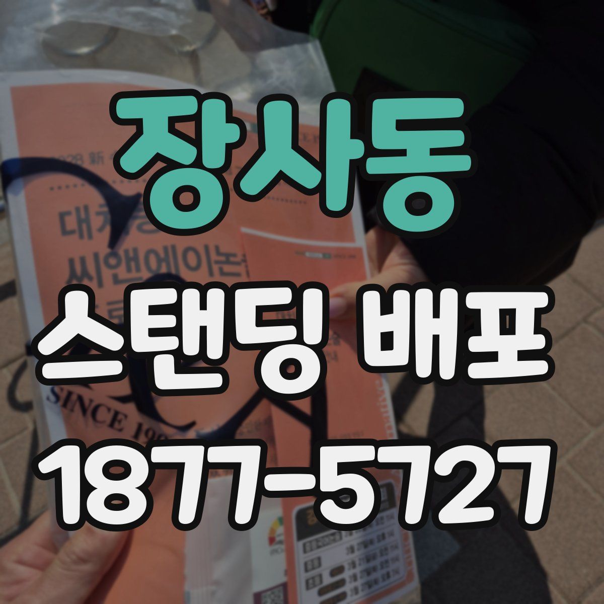 장사동 스탠딩 배포
