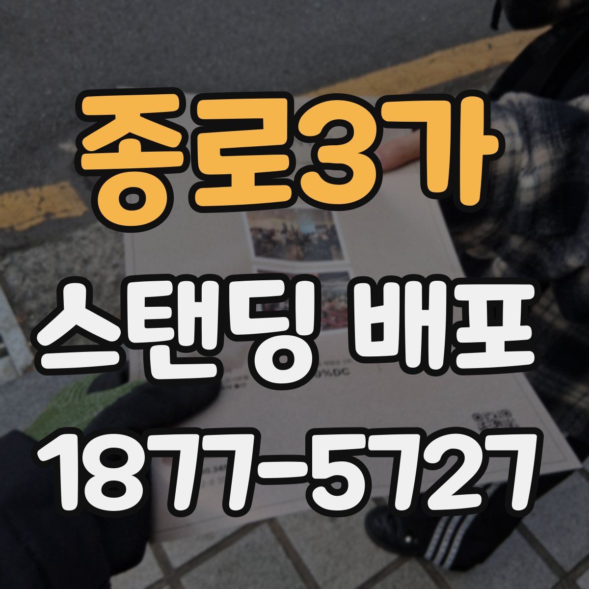 종로3가 스탠딩 배포