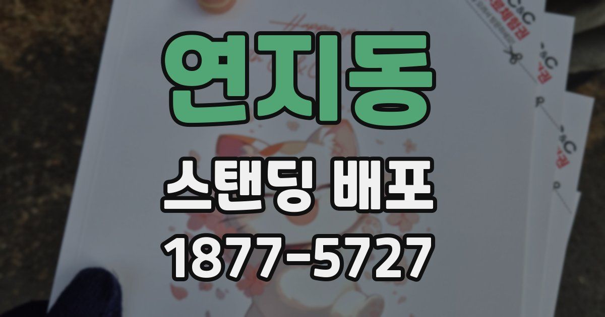 연지동 스탠딩 배포