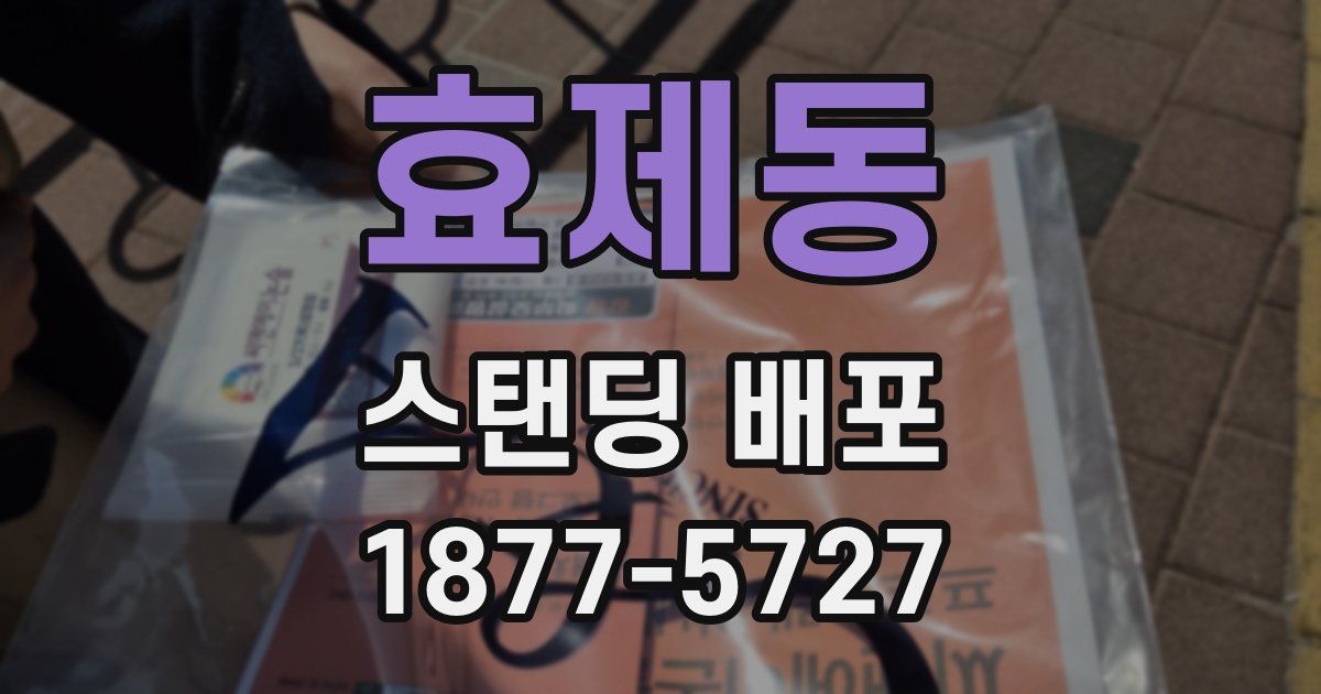 효제동 스탠딩 배포