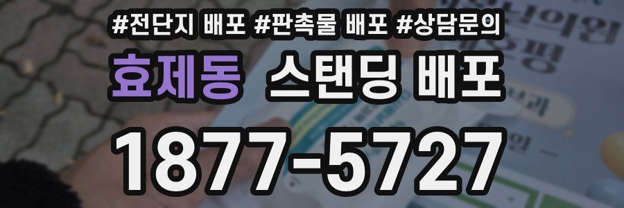 효제동 스탠딩 배포