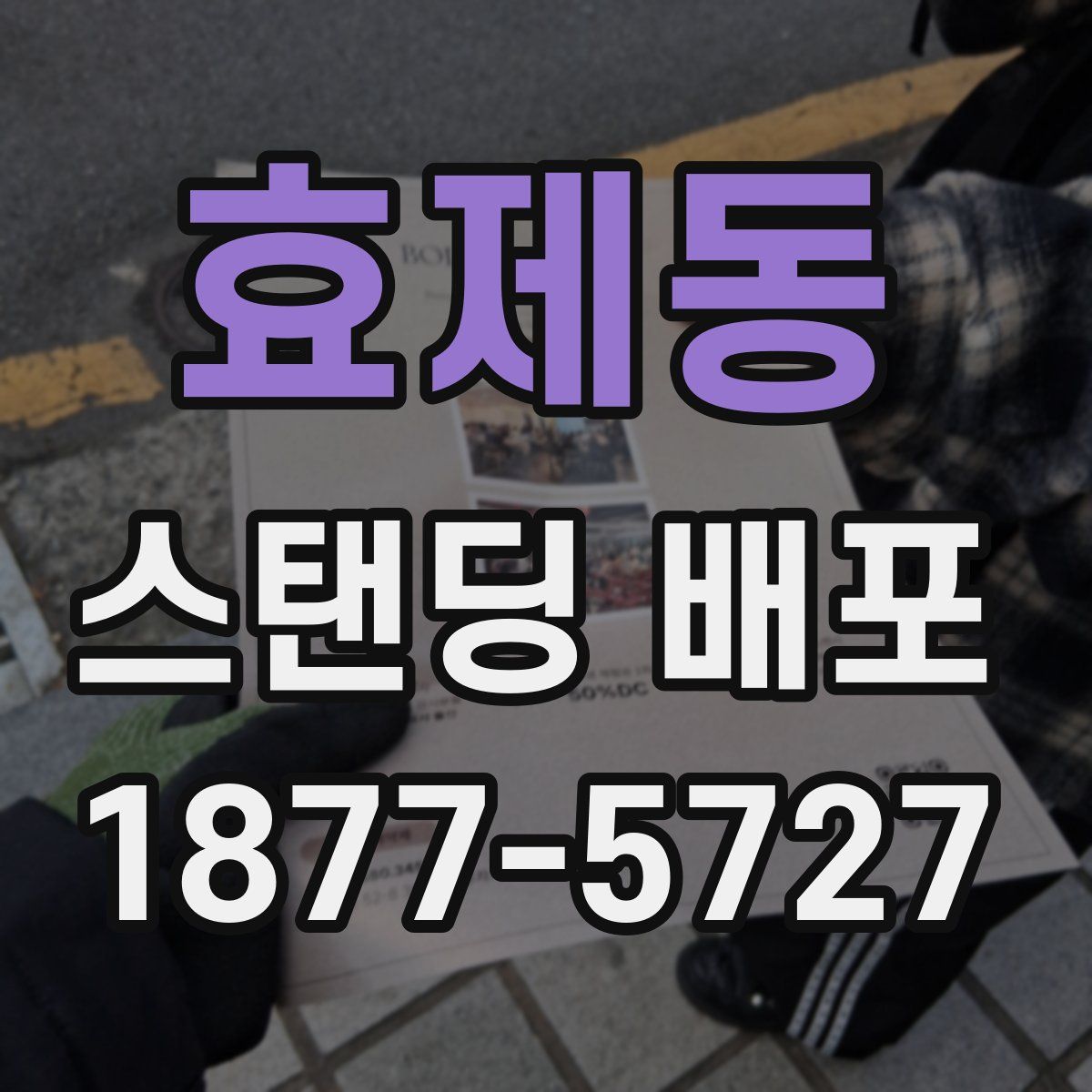 효제동 스탠딩 배포