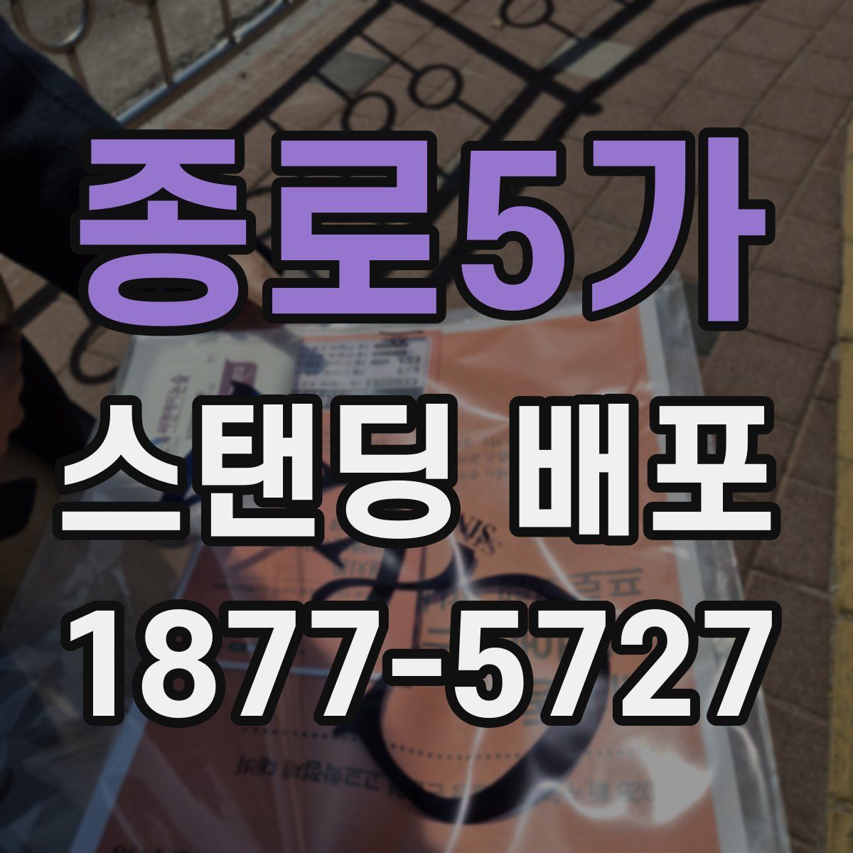 종로5가 스탠딩 배포