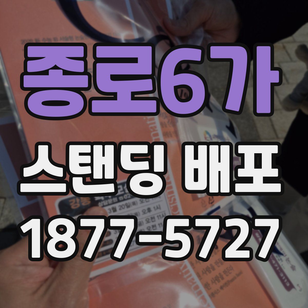 종로6가 스탠딩 배포