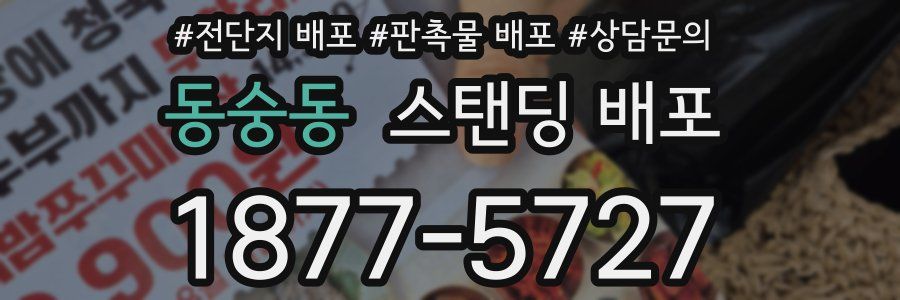 동숭동 스탠딩 배포