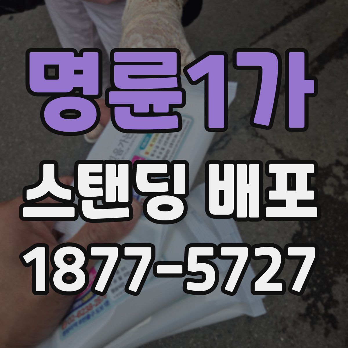 명륜1가 스탠딩 배포