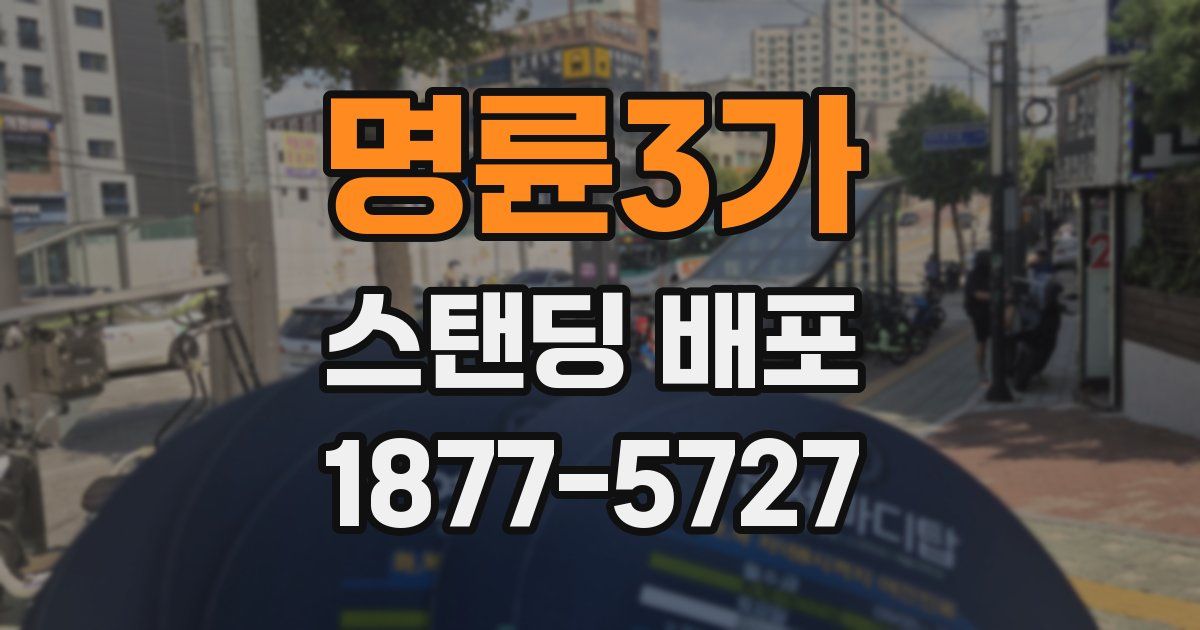 명륜3가 스탠딩 배포