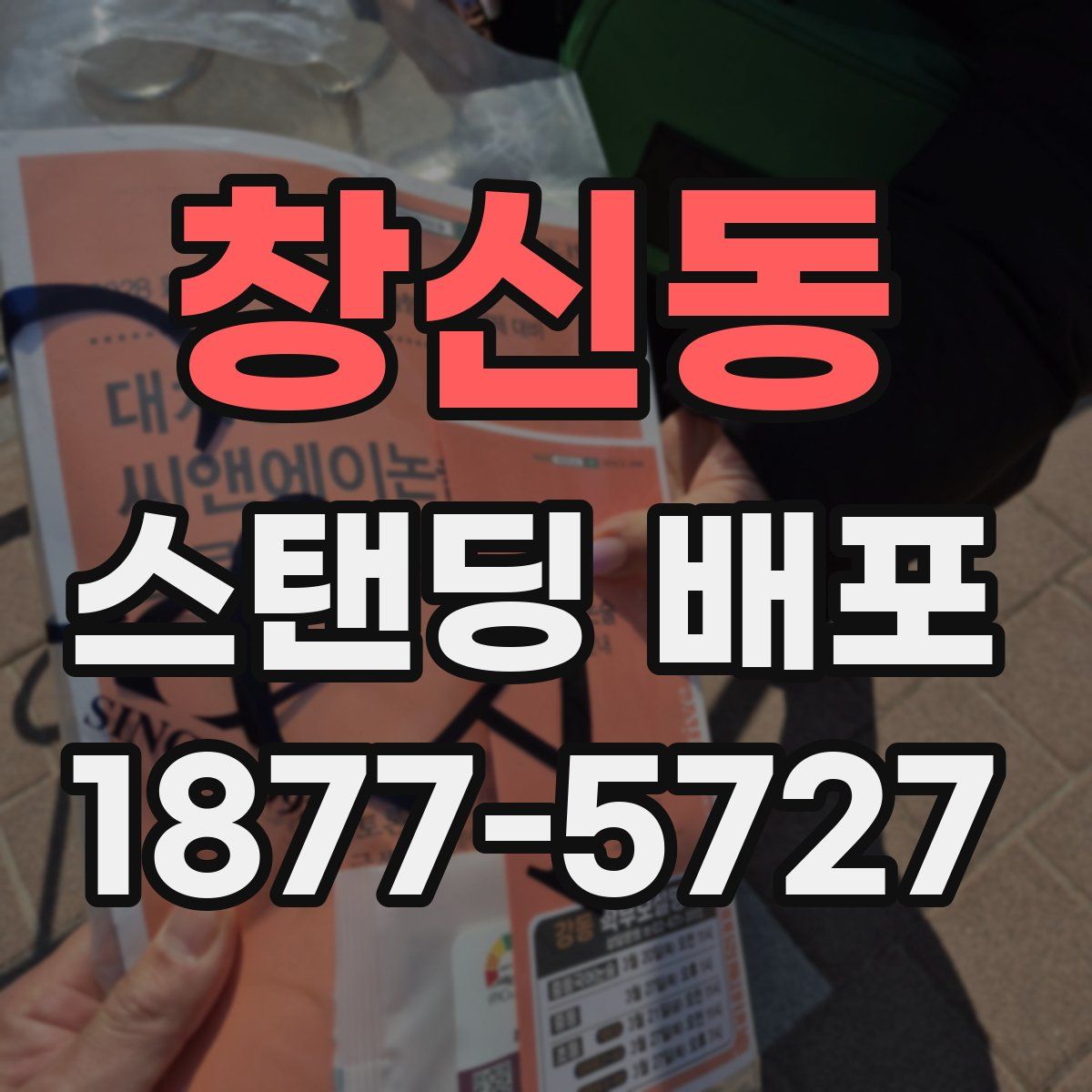 창신동 스탠딩 배포