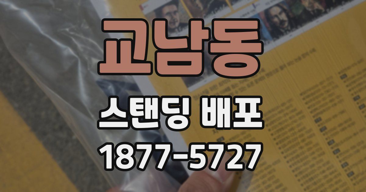 교남동 스탠딩 배포