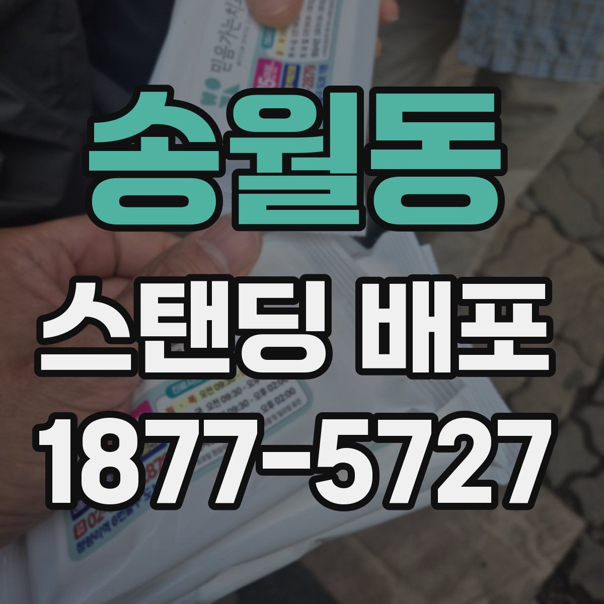 송월동 스탠딩 배포