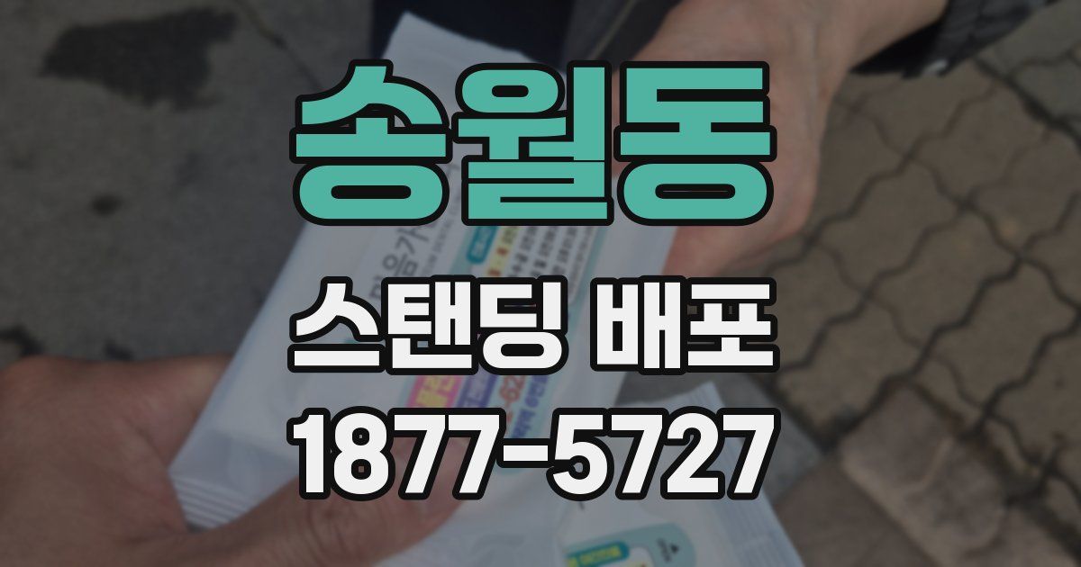 송월동 스탠딩 배포