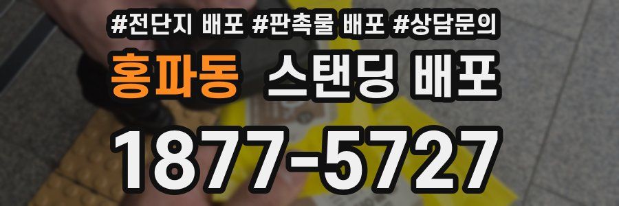 홍파동 스탠딩 배포