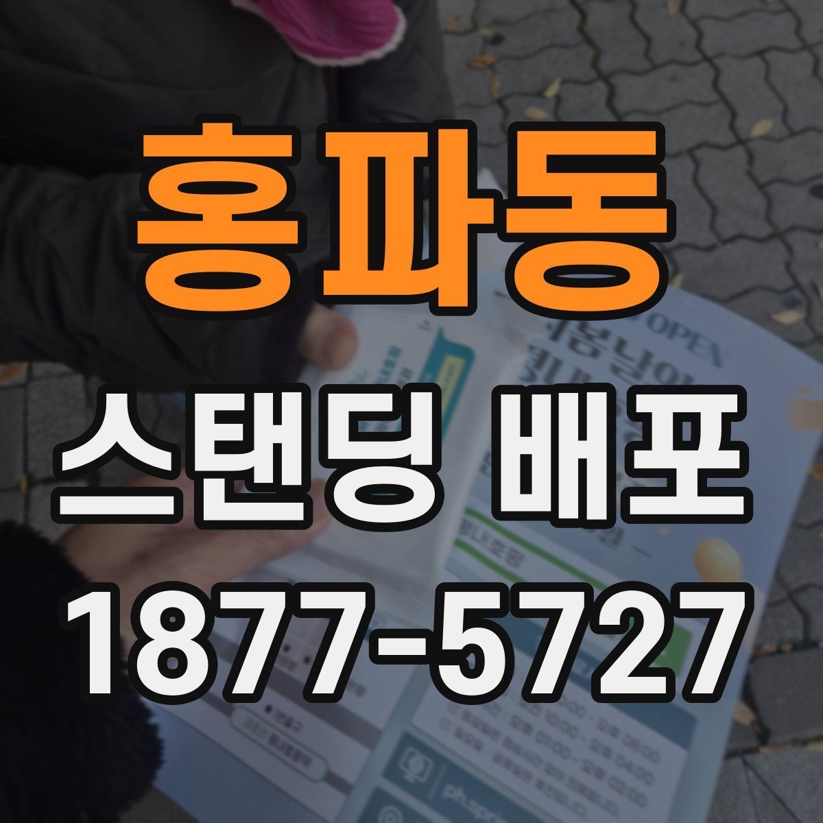 홍파동 스탠딩 배포