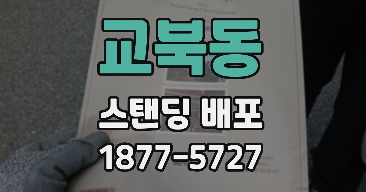 교북동 스탠딩 배포