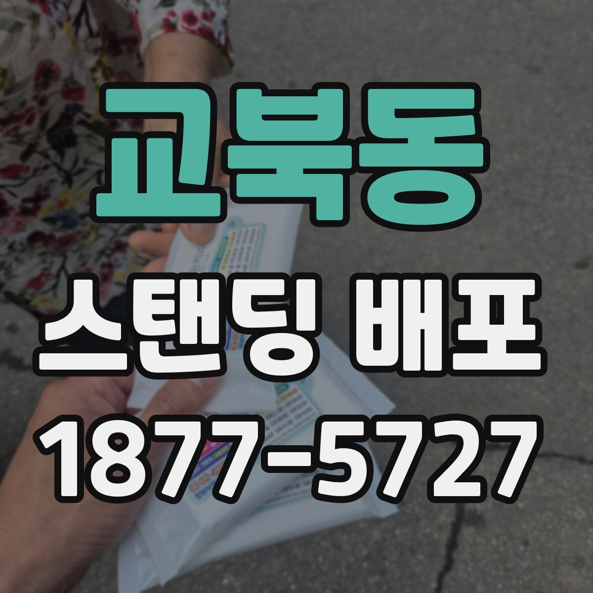 교북동 스탠딩 배포