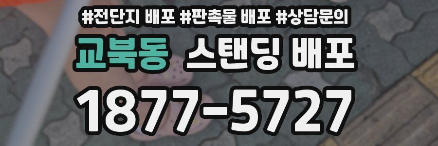 교북동 스탠딩 배포