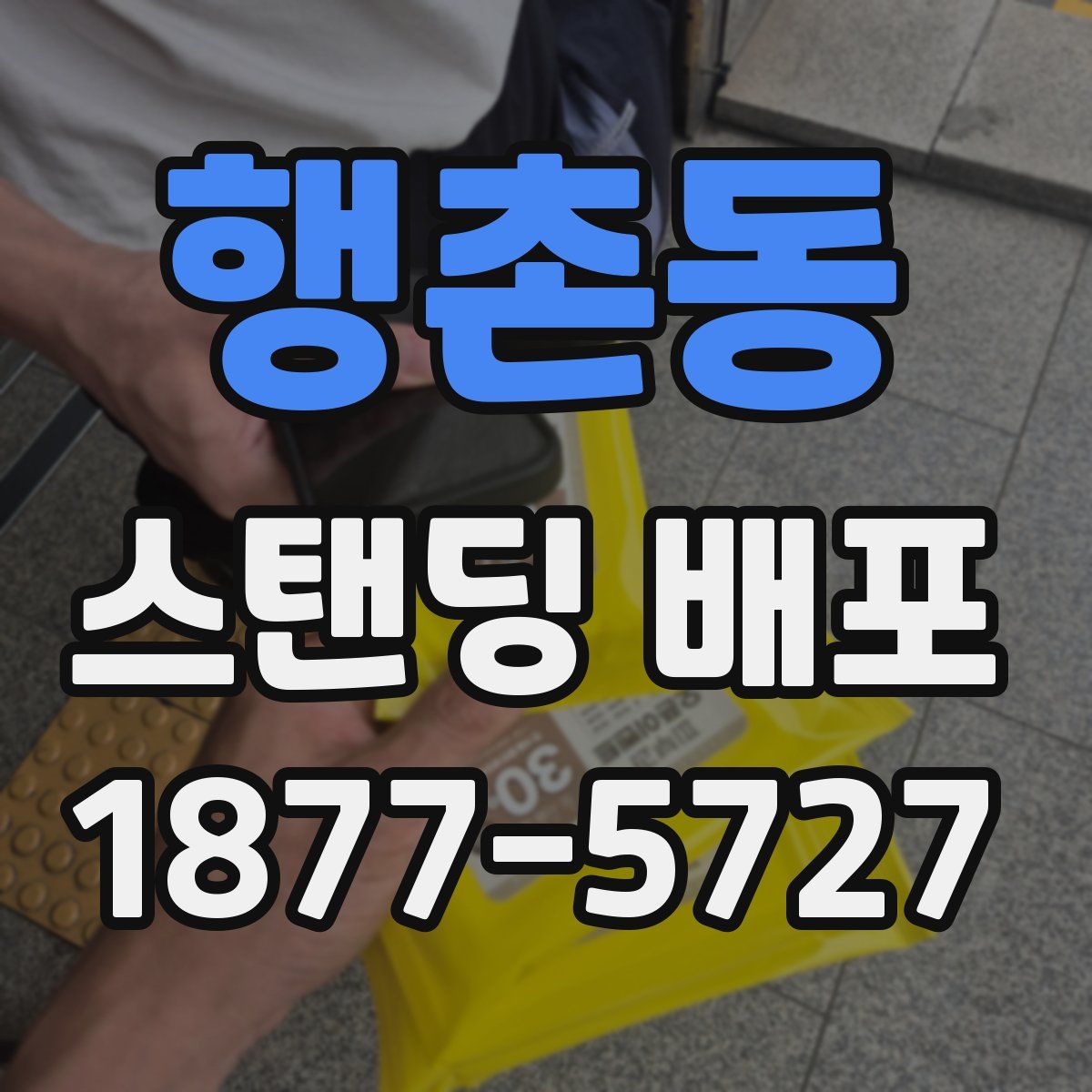 행촌동 스탠딩 배포