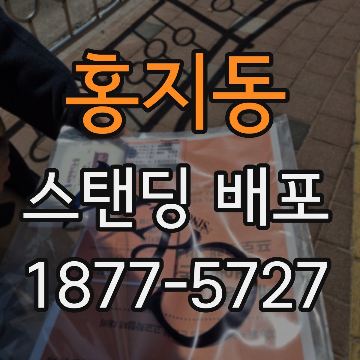 홍지동 스탠딩 배포