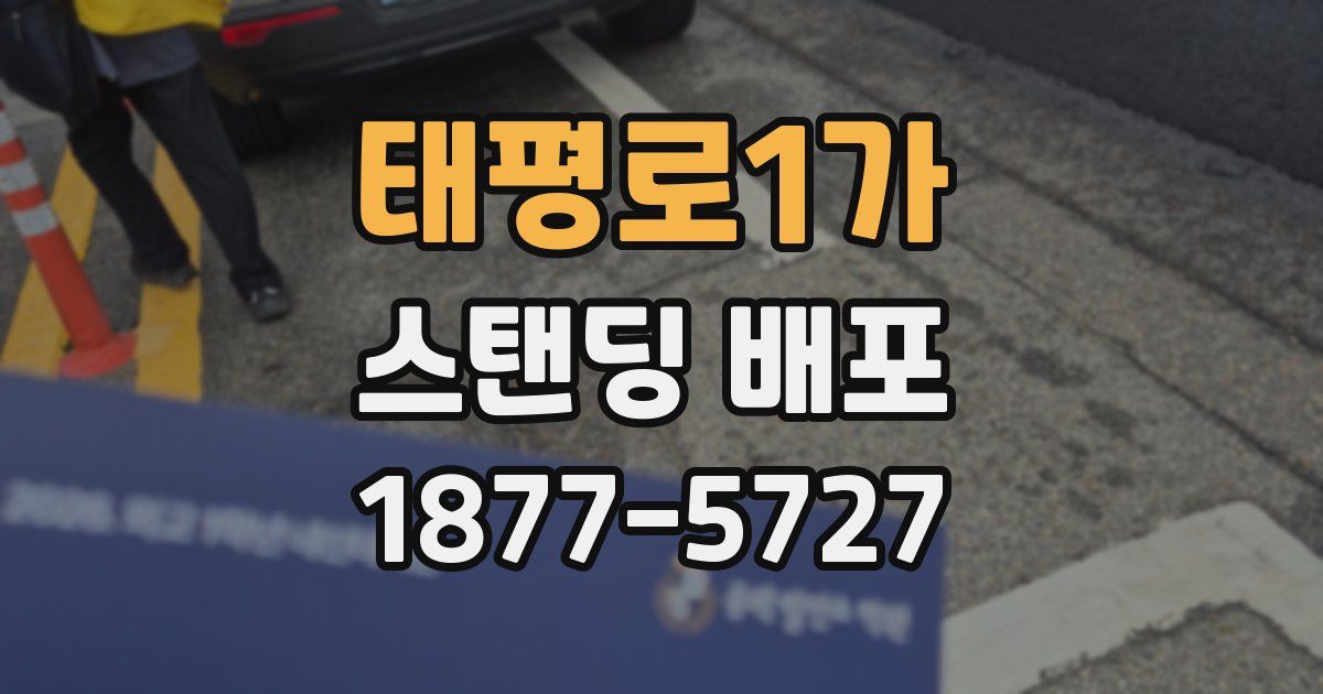 태평로1가 스탠딩 배포