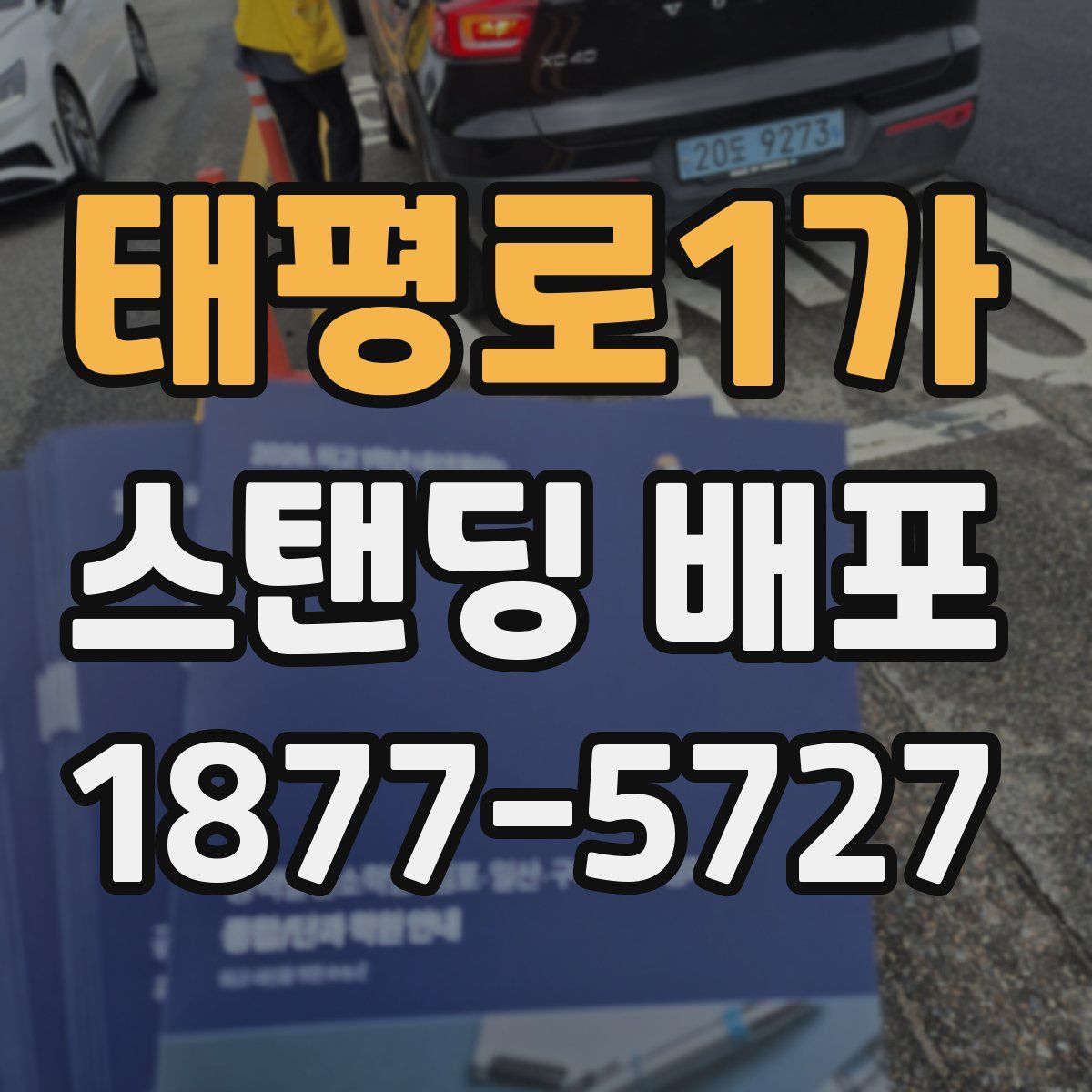 태평로1가 스탠딩 배포