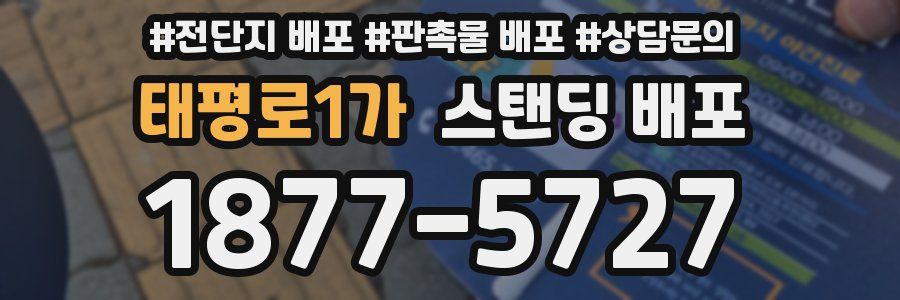 태평로1가 스탠딩 배포