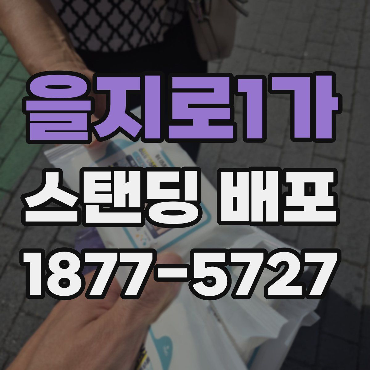 을지로1가 스탠딩 배포
